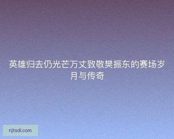 英雄归去仍光芒万丈致敬樊振东的赛场岁月与传奇